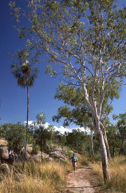 RWT 0096 097-20 Australia Katherine Gorge 2.jpg